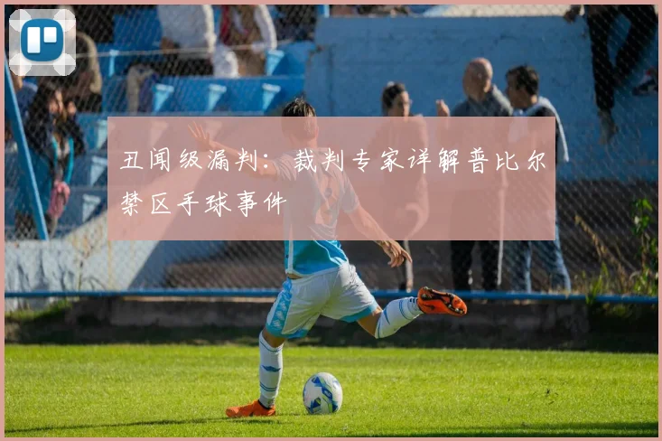 丑闻级漏判：裁判专家详解普比尔禁区手球事件